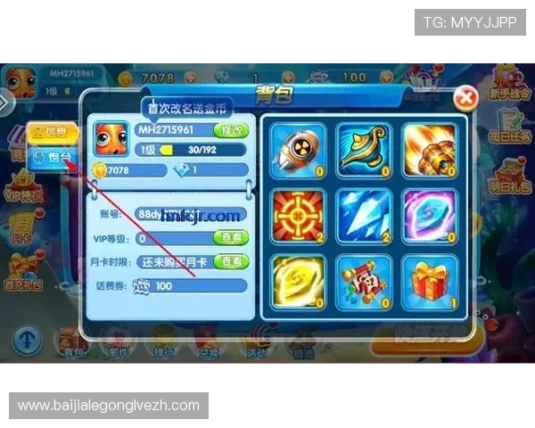 银鲨金鲨游戏最佳搭配策略推荐提升游戏战斗力的实用技巧