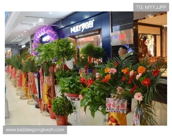 百家博国际娱乐场合作伙伴介绍，了解平台背后的强大支持团队