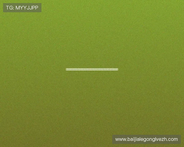 极速百家乐官网下载便捷快速免费下载多平台支持安全无忧满足不同玩家需求