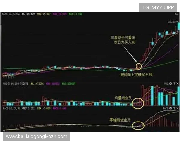 如何在线上真人MG赢三张中实现稳定盈利掌握核心技巧与玩法策略指南