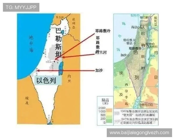 2026年世界杯约旦与阿尔及利亚比赛的战术布局与关键球员表现详解